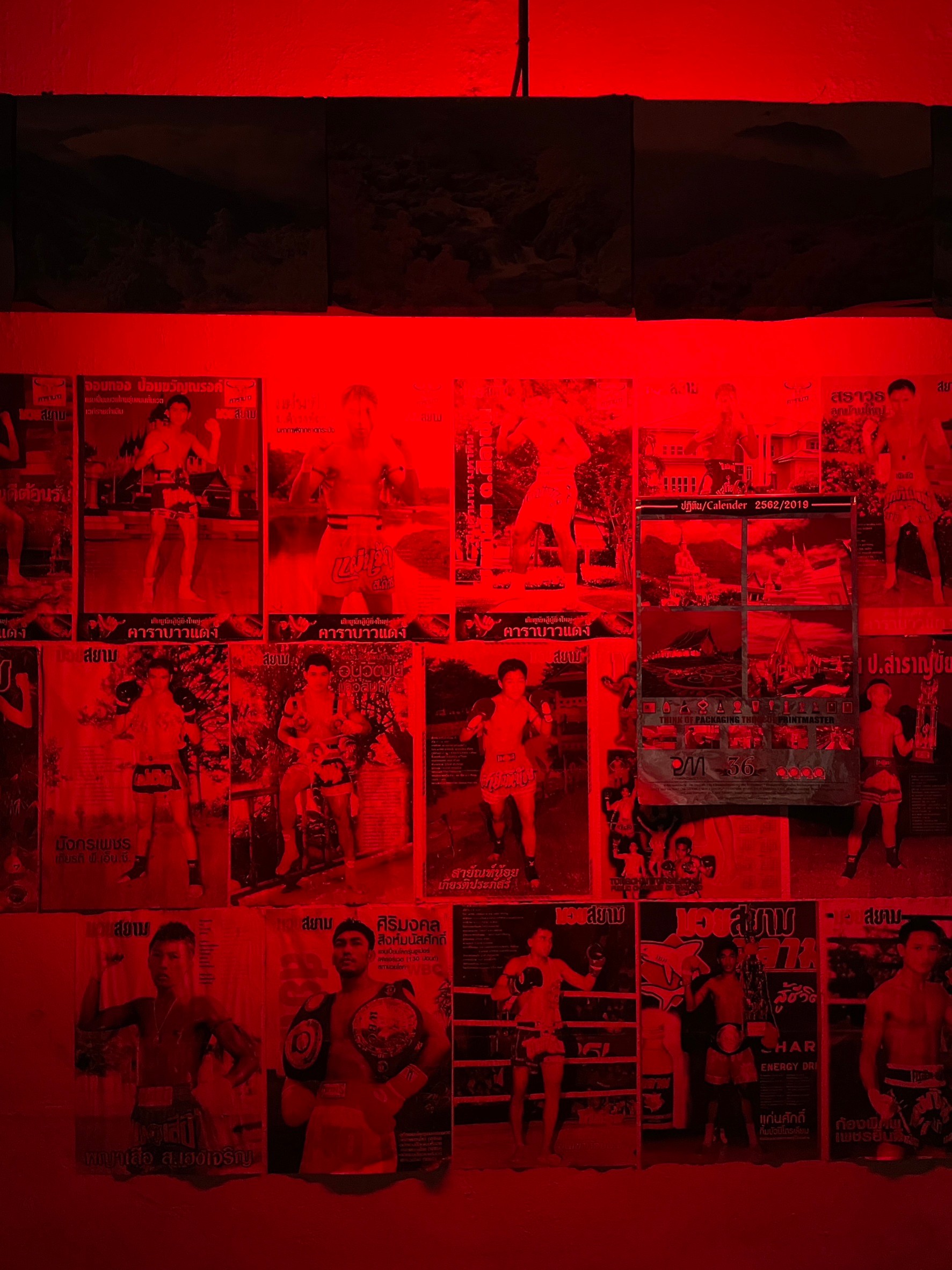 TARS — Rats Muay Thai Room