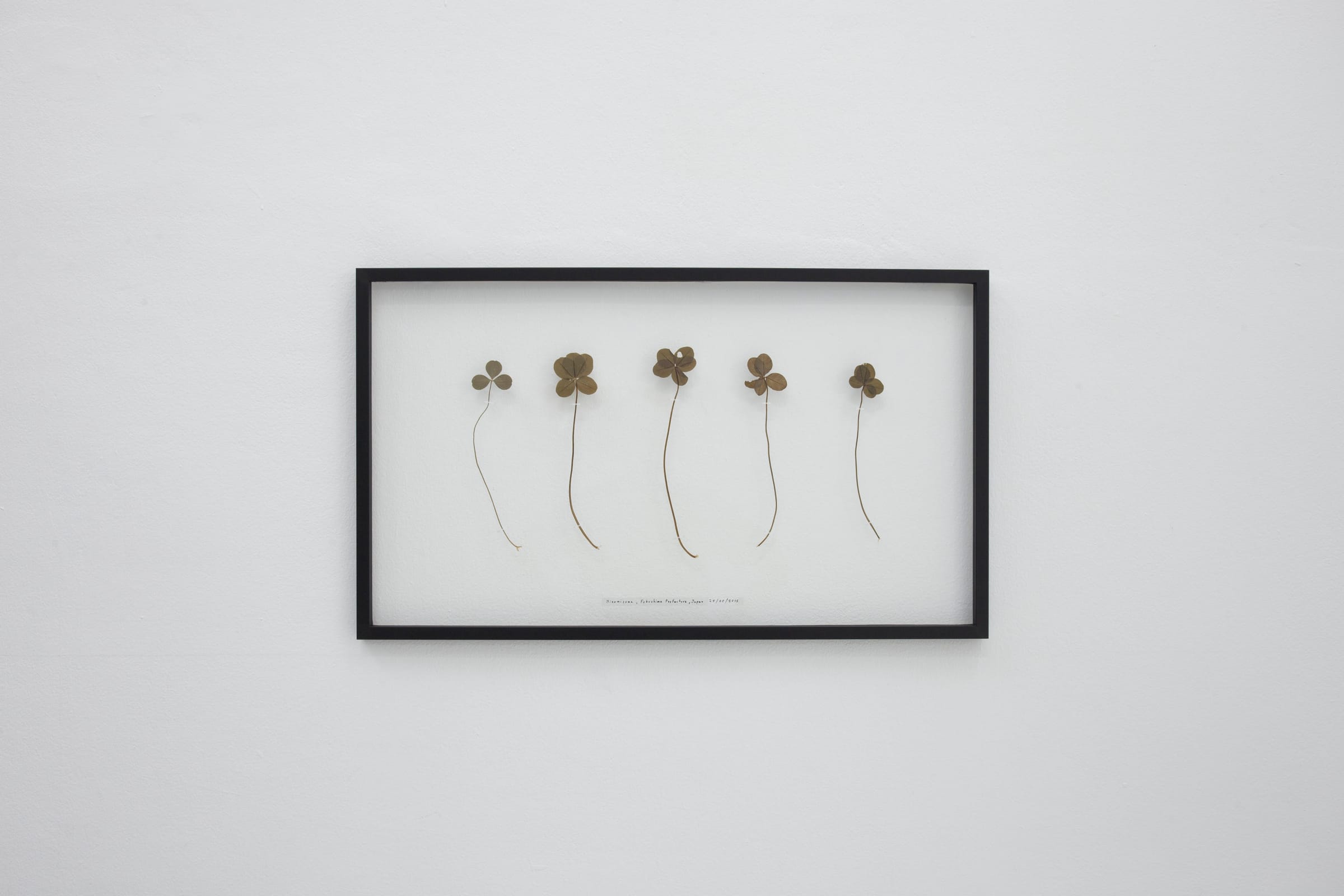 Interritories Rituals install view 02