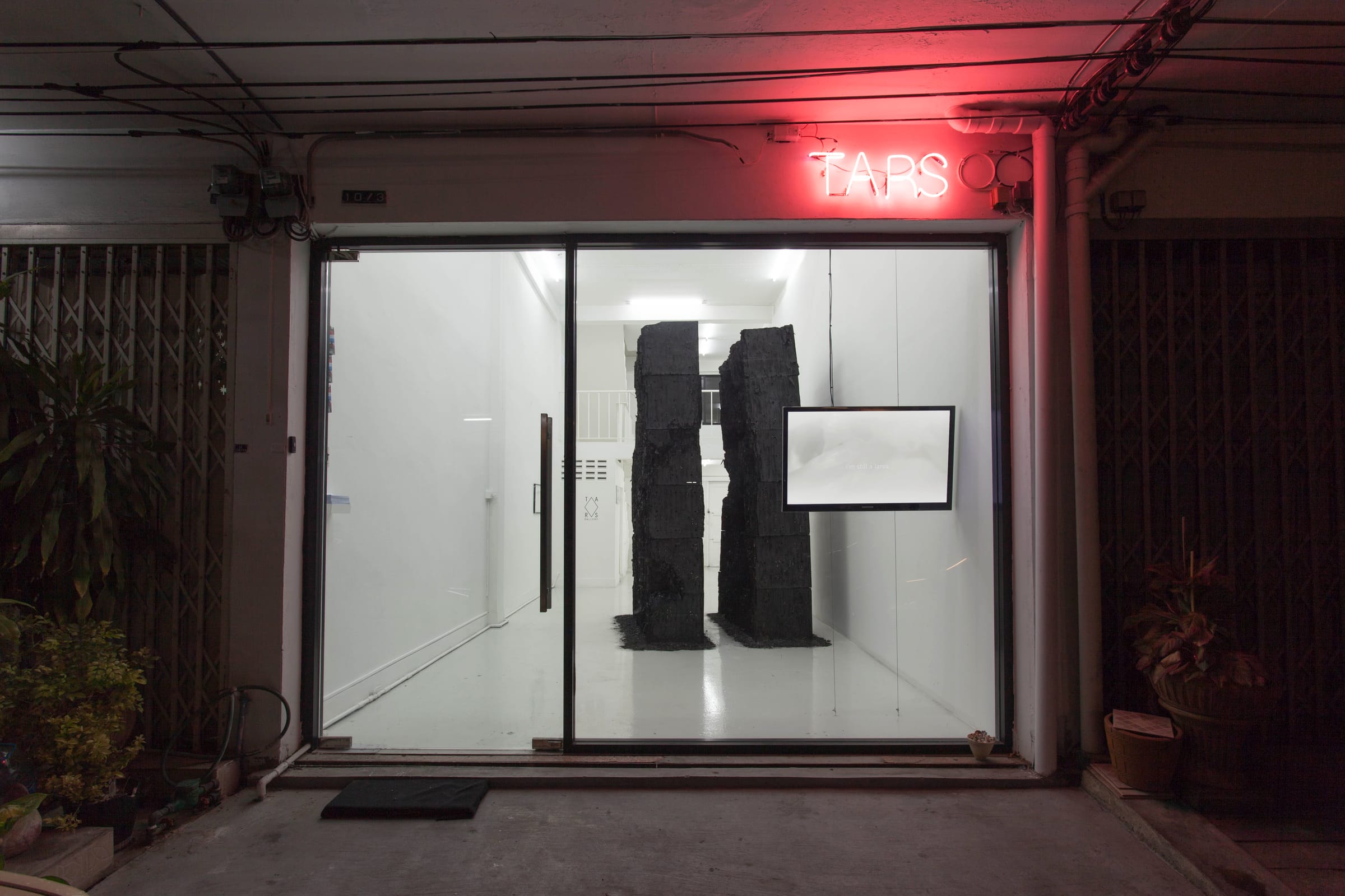 Interritories Rituals install view 03